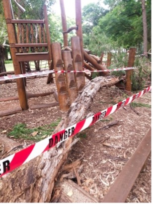 tree falls on perth playground