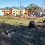 five-year-old struck by falling tree piece near playground is improving, but still badly injured