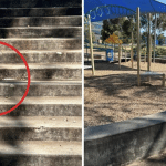 Venomous tiger snake spotted metres from playground in Melbourne
